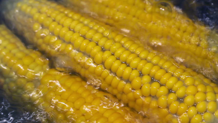 Ear of corn cooked in a pan