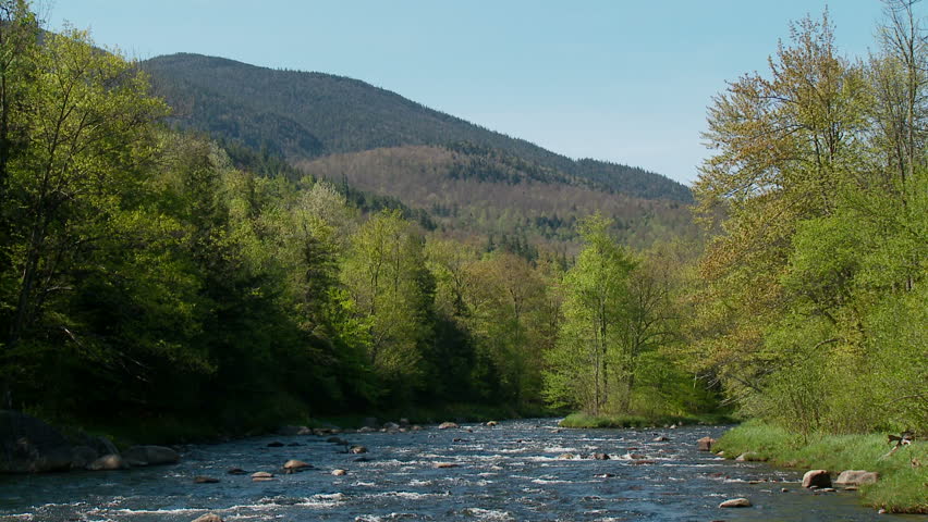 Rocky river in springtime forest