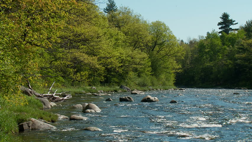 Rocky river in springtime forest