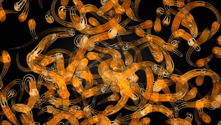 Orange unknown creatures motions in microscopic abstract