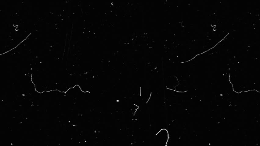 Film noise