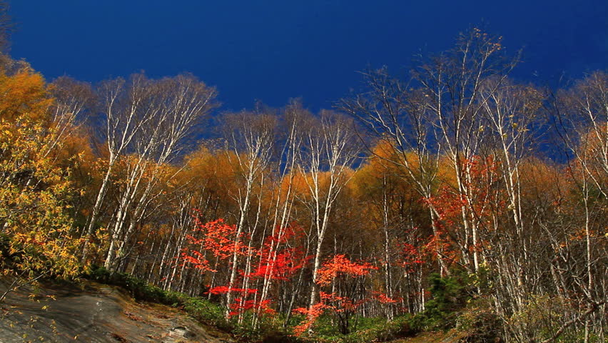 Autumn in the Mountains.