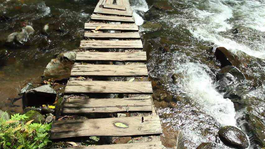 Walking along a boardwalk over a river in the Ecuadorian Andes