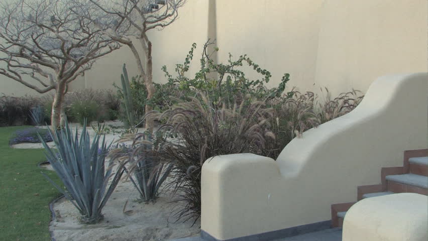 Purple fountain grass clustered in landscaped garden beside adobe style entry steps