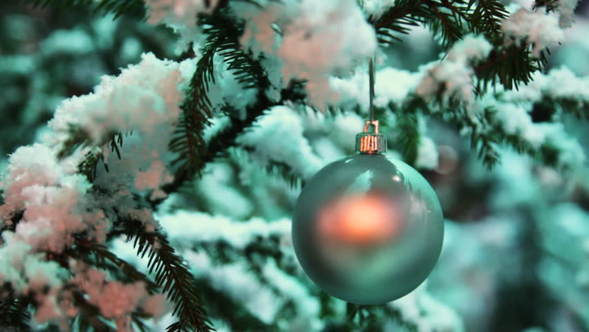 glass ball silver color hangs on snow covered fir in winter forest, closeup