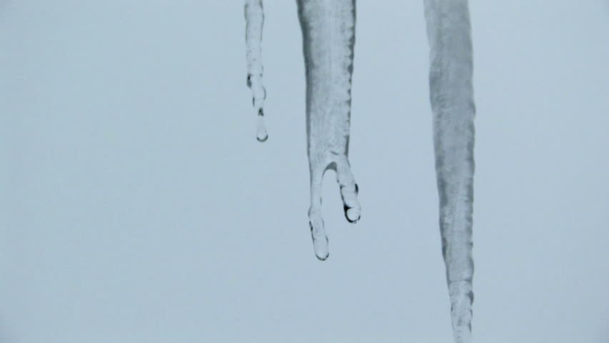 Close up of water dripping off the edge of an icicle 
