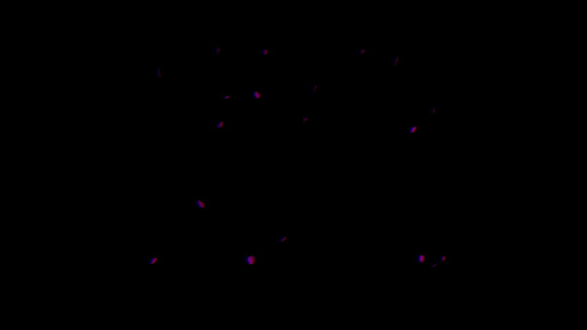 Rose petals flying towards camera, Stereoscopic 3D Anaglyph, RedBlue
