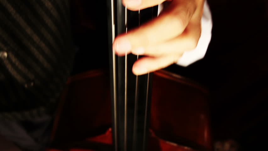 Musician and Double Bass playing wide angle