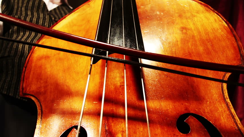 Musician and Double Bass playing wide low angle