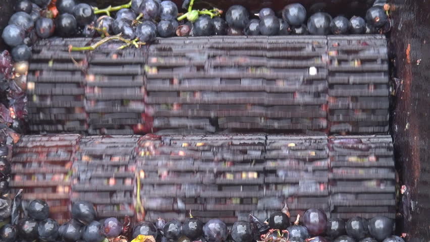 Making wine in old style