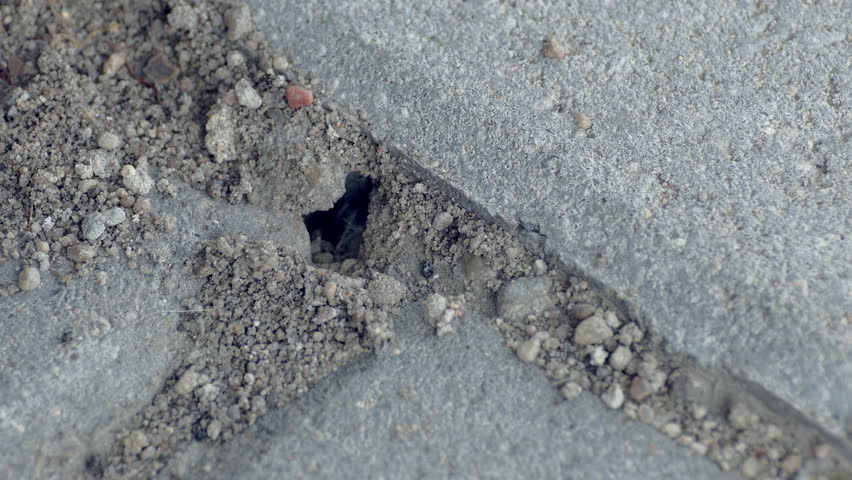 Patio Garden Driveway Natural Stone Paving Slab Surface Background