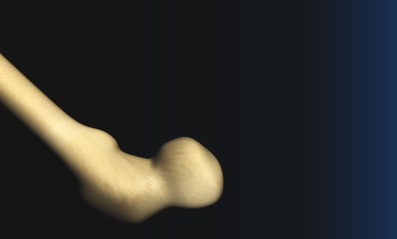 footage of  a human leg bone joint