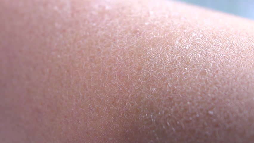 human skin texture stock photo 169 oksixx 122414784 tights stock footage human skin texture stock photo 169 oksixx 122414784 tights stock footage
