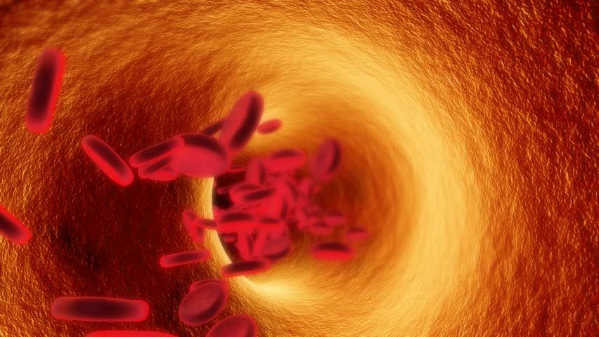movement of blood cells in blood vessel