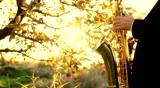 man play jazz on golden saxophone in nature instrumental 
