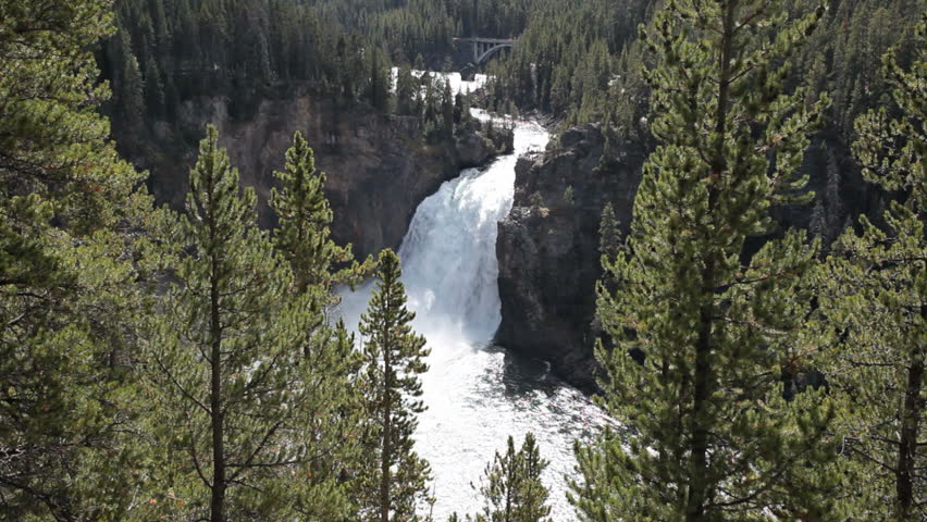 Famous and beautiful Upper Yellowstone Falls. View through pine forest. Several hundred feet tall falling into the Grand Canyon of the Yellowstone. Wyoming. National Park nature and wilderness area.