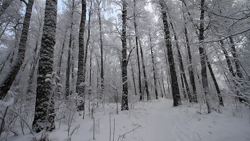 Winter snow landscape.