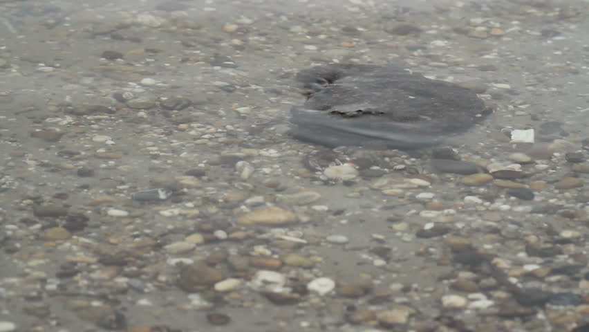 stone an water