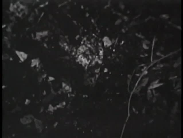 Close-up of hand drowning in quagmire