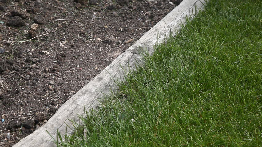 Grass Trimmer 