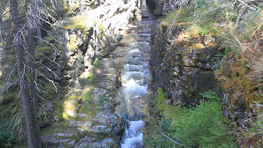 River gorge powerful river at Maligne Canyon, Jasper National Park, Alberta, Canada. Rushing water pours through narrow gorge created by forces of water. Popular vacation and naturalist destination.