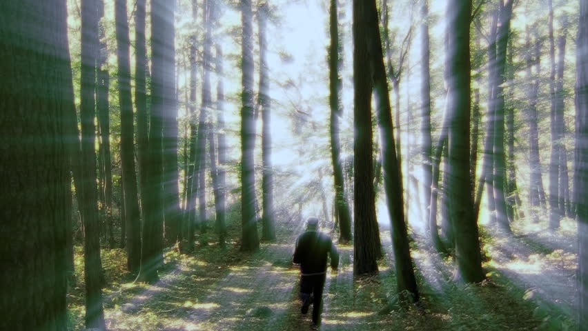 Man jogging in woods into the light, special effect