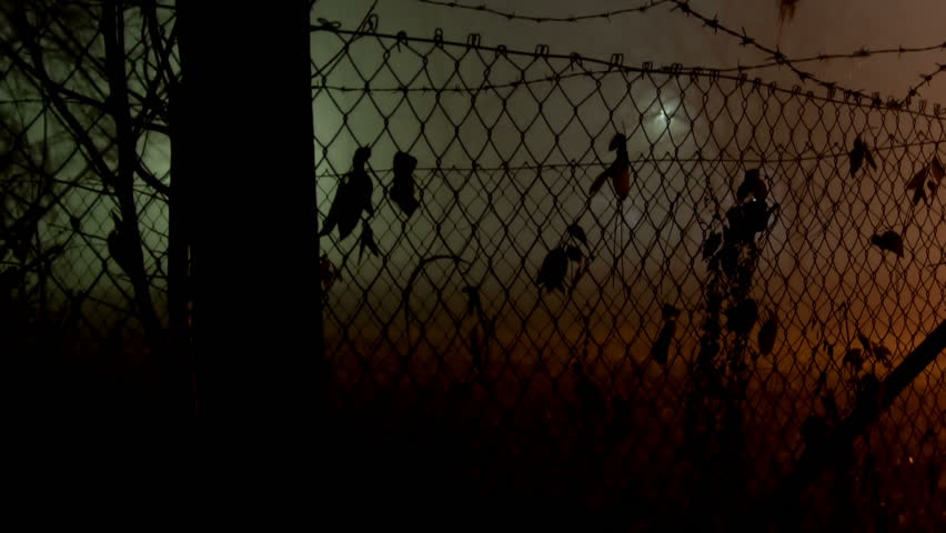 Barbed Wire Fence and Lights- Restricted Area