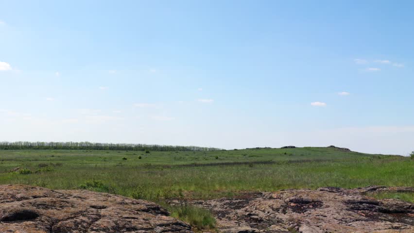 Ukrainian wildlife preservation, (reserve Stone mogyla) 