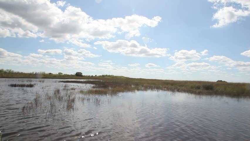 Airboat ride on the Everglades national park  - January 2012
