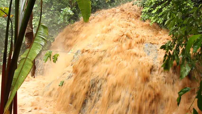 Mud and water pouring down a jungle watercourse after very heavy rain. On the Pacific coast of Ecuador.