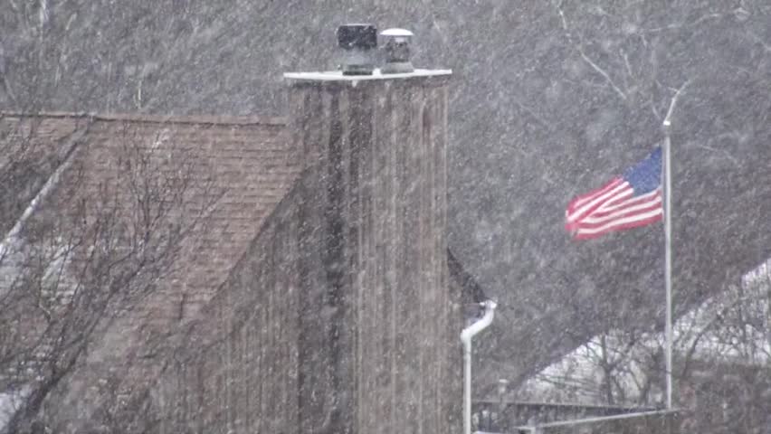 Snowy , trees and US flag on the background