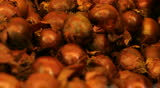 Vegetables fruits salad orange healthy merchandise supermarket diet onion onions