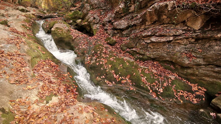 Channel of a stream in a rock with water stream and the fallen down leaves ashore