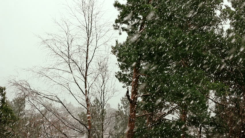 Seamless loop snow falling background