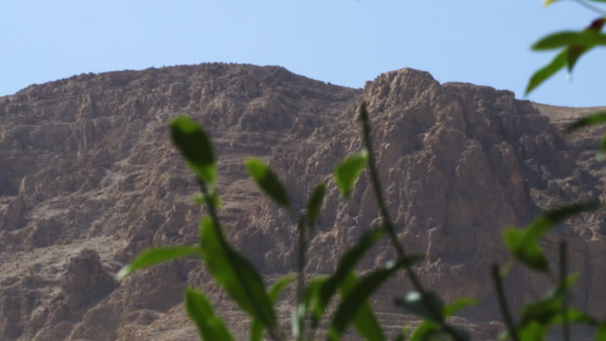 Desert cliffs and greenery shot in Israel.