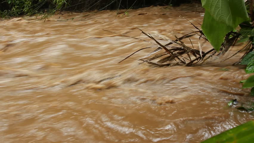 Mud and water pouring down a jungle watercourse after very heavy rain. On the Pacific coast of Ecuador.