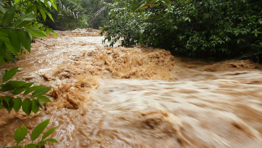 Mud and water pouring down a jungle watercourse after very heavy rain. On the Pacific coast of Ecuador.