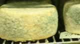 Blue cheese gouda Factory food process parmesan swiss dairy feta france milk