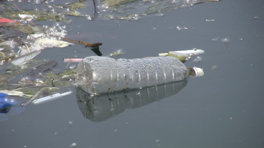 A discarded water bottle floats with other garbage.