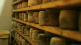Blue cheese gouda Factory food process parmesan swiss dairy feta france milk