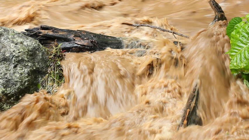 Mud and water pouring down a jungle watercourse after very heavy rain. On the Pacific coast of Ecuador.
