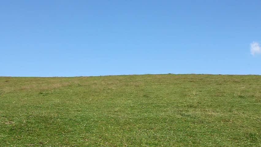 A grassy field and sky