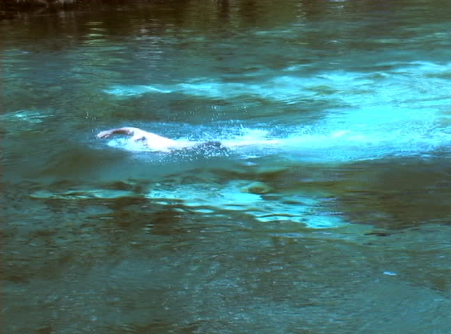 A man enjoys swimming in the crystal-clear blue water of the spring.