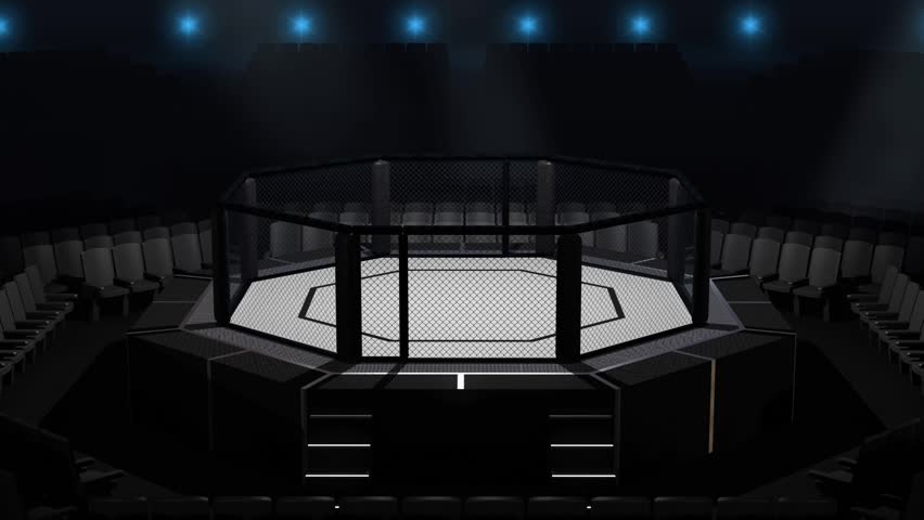 A 360 Degree shot around an octagon shaped fighting ring / Octagon Fighting Arena turntable