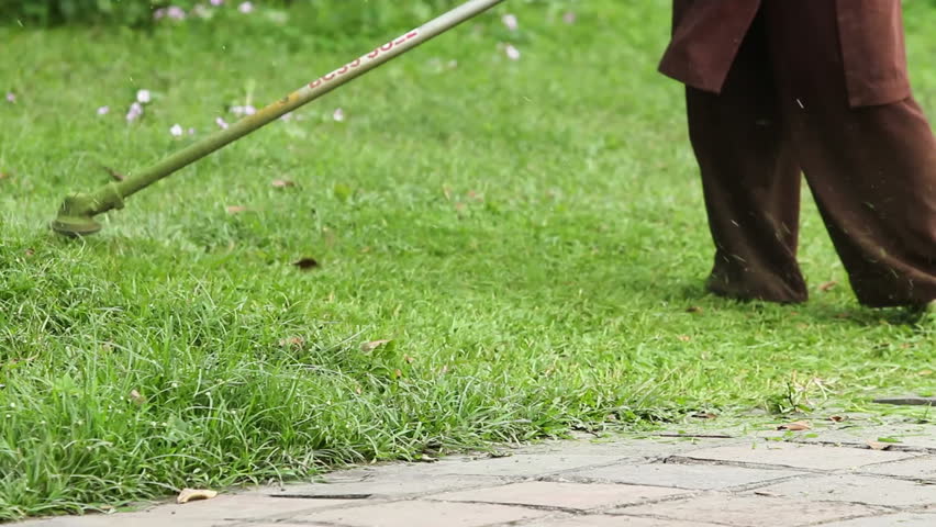 Mowing the lawn