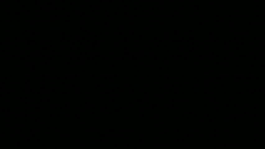 Microscopic Sperm Footage 2