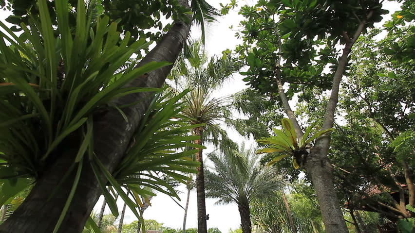 Stabilized shot : Resort in Thailand.