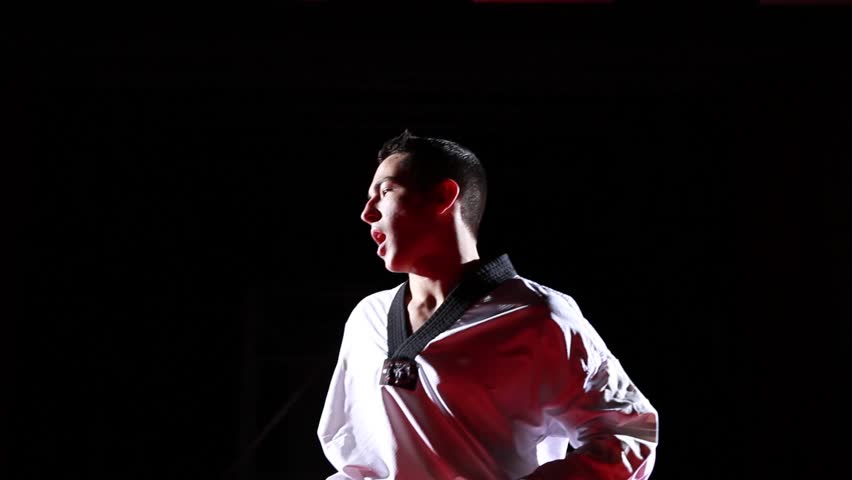 Taekwondo kicks sequence