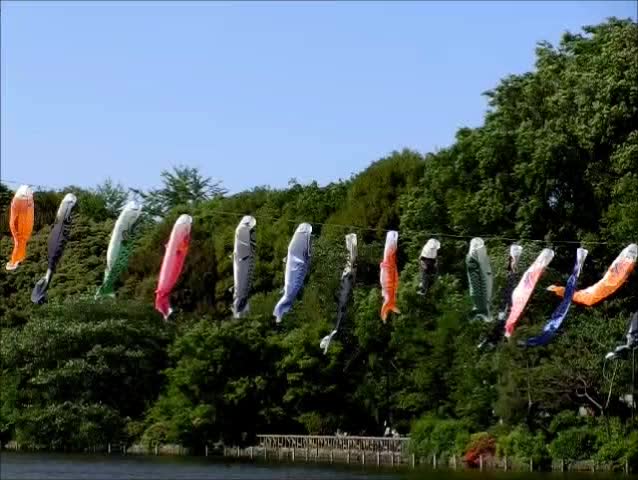 carp streamer (slow motion) 
