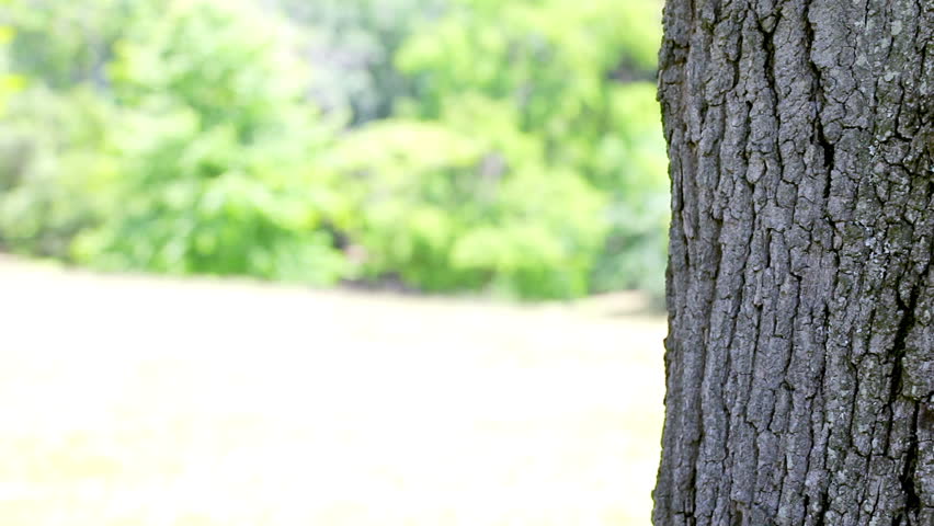 Brunette man leaning against a tree in a parkland